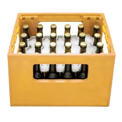 Bierkühler - Eisblockform für Bierkisten - 0,33 l Flaschen