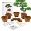 Bonsai Baum Set - Selber pflanzen