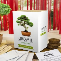 Bonsai Baum Set - Selber pflanzen