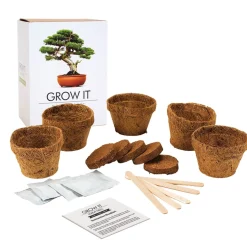 Bonsai Baum Set - Selber pflanzen