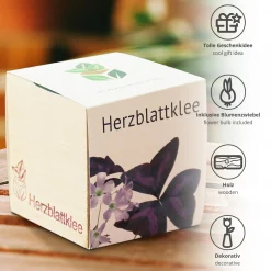 Ecocube Herzblattklee