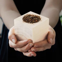 Ecocube Herzblattklee