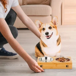 Futternapf für Hunde