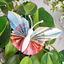 Geldgeschenk Schmetterling Weiß - 3er Set Geschenkverpackung für Geld