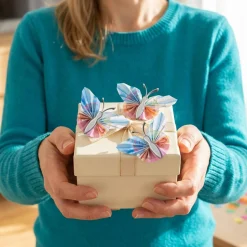 Geldgeschenk Schmetterling Silber - 3er Set Geschenkverpackung für Geld