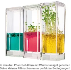 Gel Gewächshaus - Ökosystem Garten