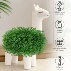 Green Lama - Pflanztier
