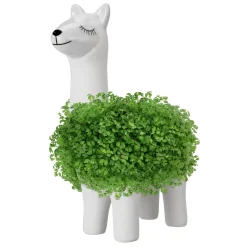 Green Lama - Pflanztier