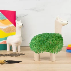 Green Lama - Pflanztier