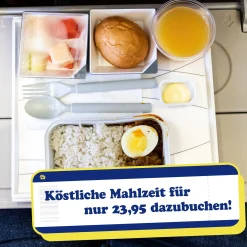 Intensiver Flug-Reisetag für Zuhause - Pandemie Special