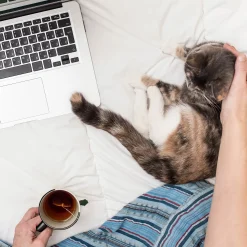 Katzen Tasse - Kopfüber Kaffeebecher