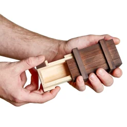 Magische IQ Box