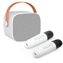 Mobile Bluetooth Karaokemaschine mit 2 Mikros