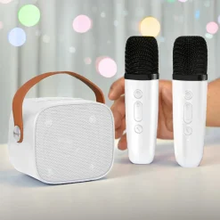 Mobile Bluetooth Karaokemaschine mit 2 Mikros