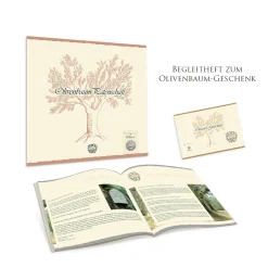 Olivenbaum Patenschaft