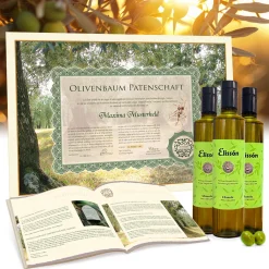 Olivenbaum Patenschaft