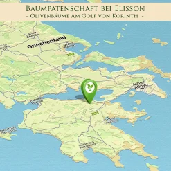 Olivenbaum Patenschaft