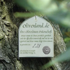Olivenbaum Patenschaft