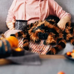Riesen Spinne - Kuscheltier & Kissen