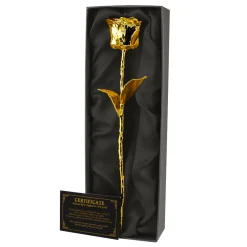 Rose aus Gold