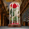 Rose unter Glasglocke