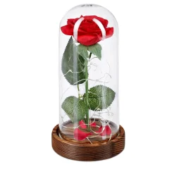 Rose unter Glasglocke