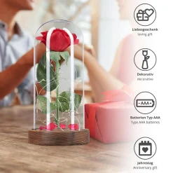 Rose unter Glasglocke