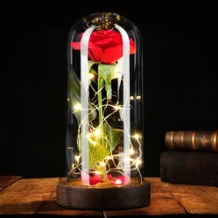 Rose unter Glasglocke