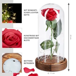 Rose unter Glasglocke