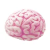 Stressball - Gehirn