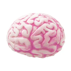 Stressball - Gehirn