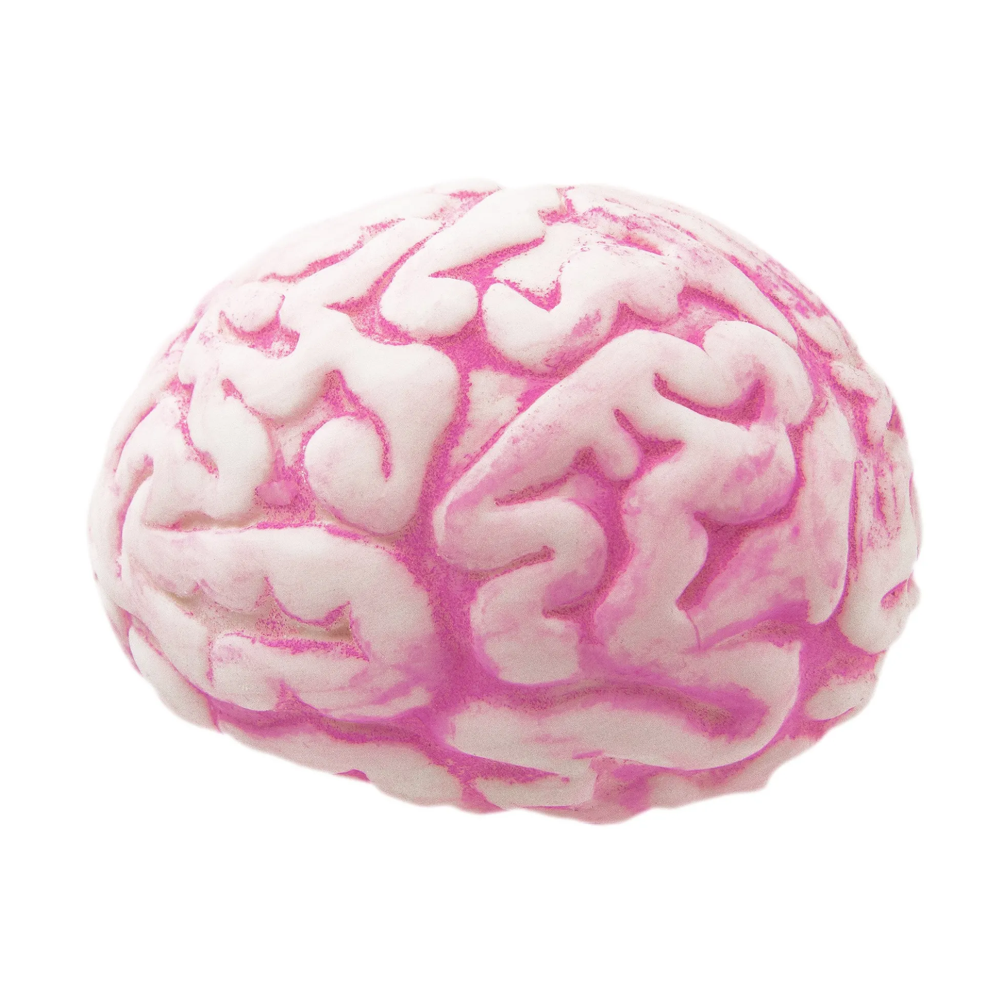 Stressball - Gehirn