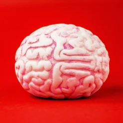 Stressball - Gehirn