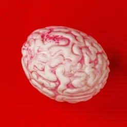 Stressball - Gehirn