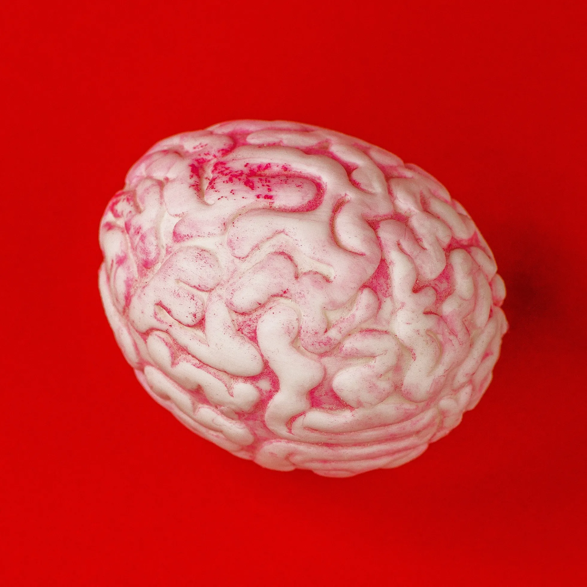 Stressball - Gehirn