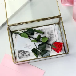 Unvergängliche Rose - Das besondere Geschenk