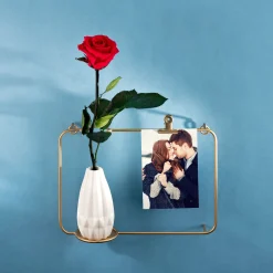 Unvergängliche Rose - Das besondere Geschenk