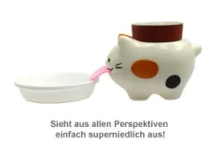 Wilde Erdbeere im Peropon Topf - Katze